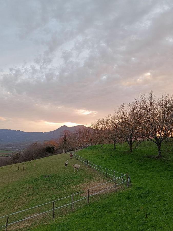 Le Perchoir Du Vercors - Panorama Sur Les Cimes Saint-André-en-Royans 外观 照片